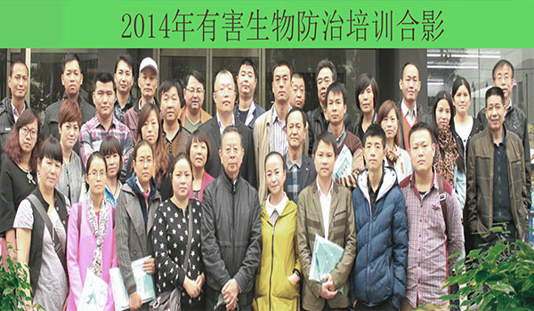 手機(jī)幻燈片2